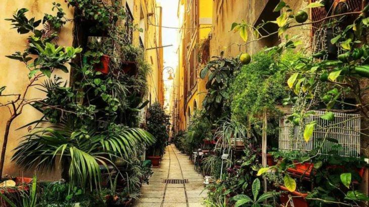 Aida Appartement